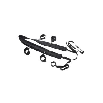 No Matter Where Restraint System1